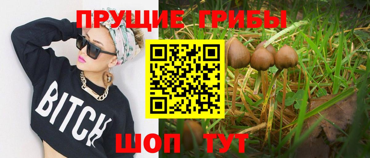 Псилоцибиновые грибы Psilocybe  Вход с VPN  Дзержинский 